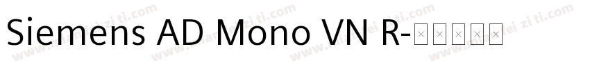 Siemens AD Mono VN R字体转换